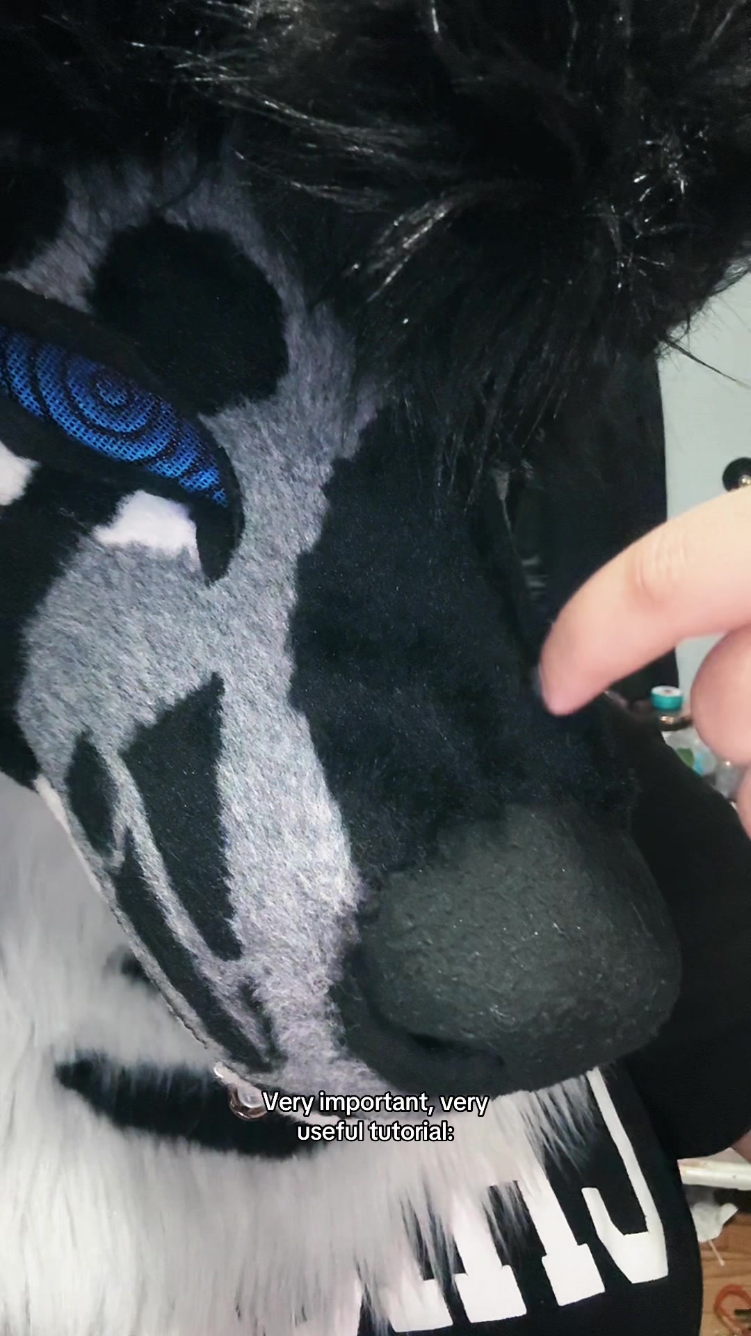 @sonar_hyena_shark