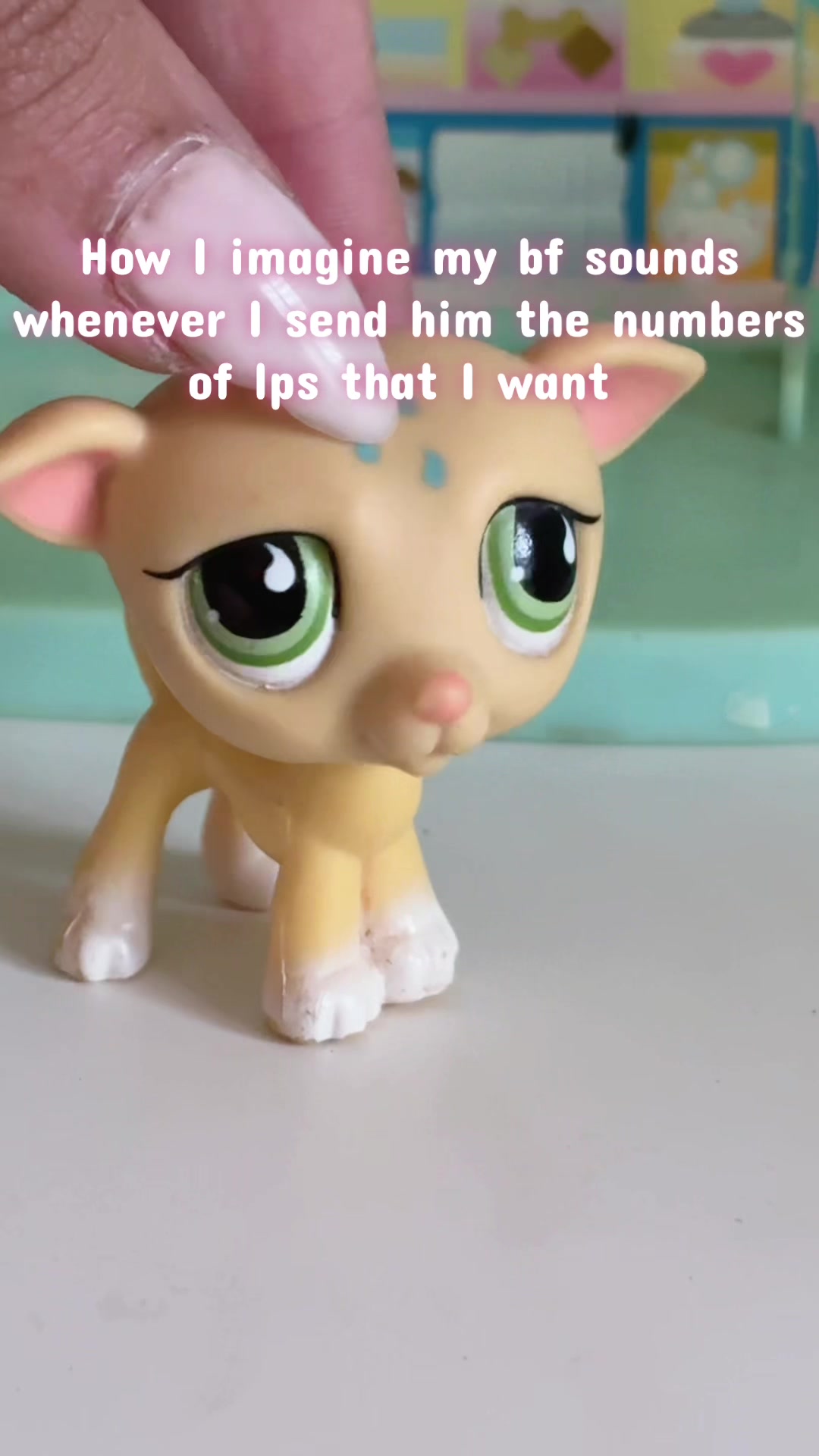 @โ. ๐หเฟ ๐ฎ๐๐๐๐ ๐๐หโ