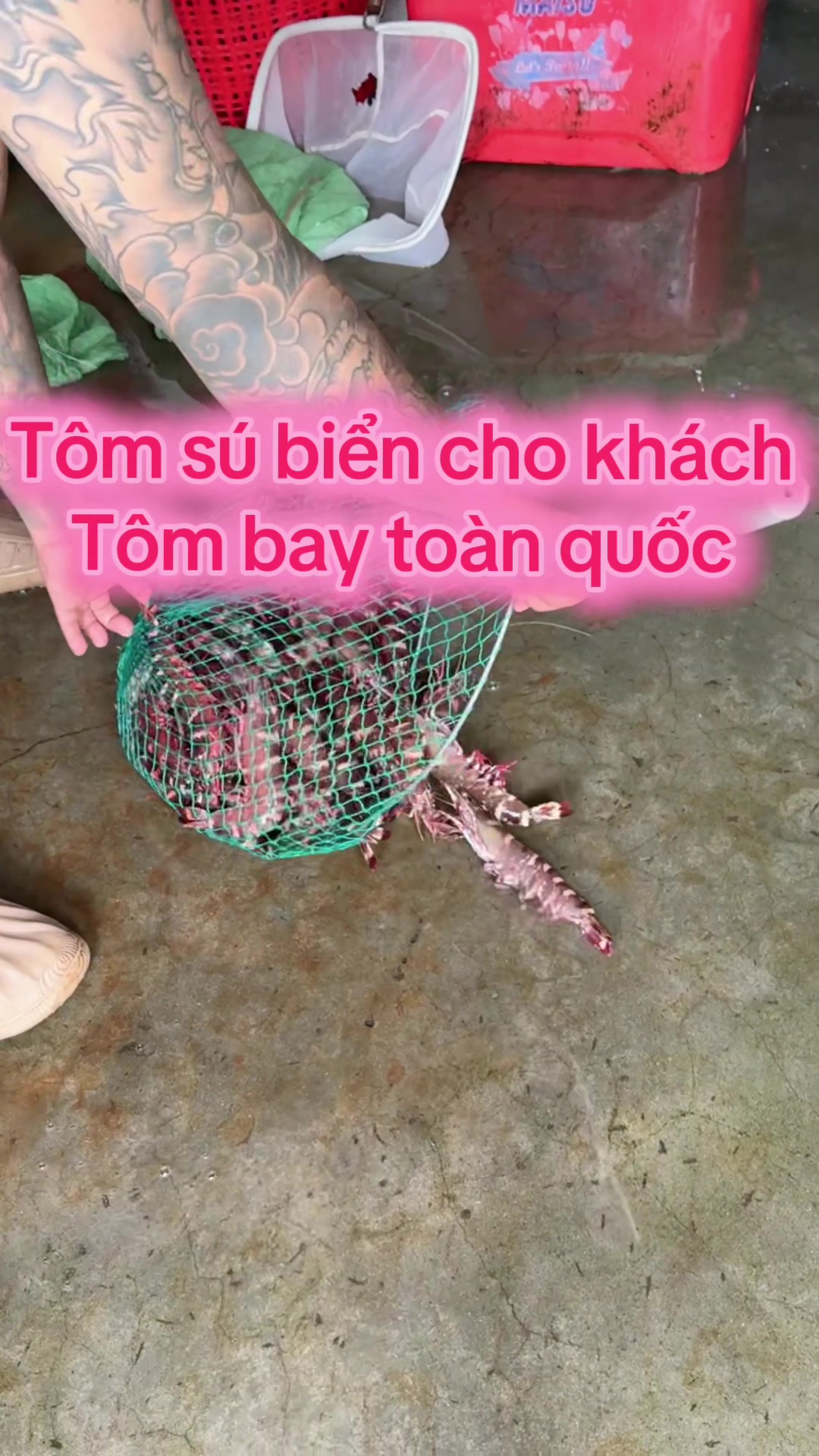 @Thịnh Sú Biển