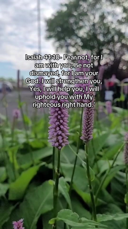 @~Faith~