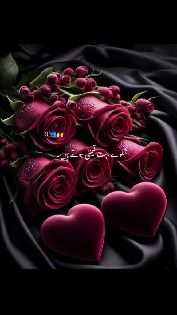 @NuranDar