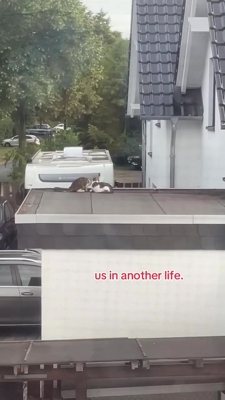 @❤️