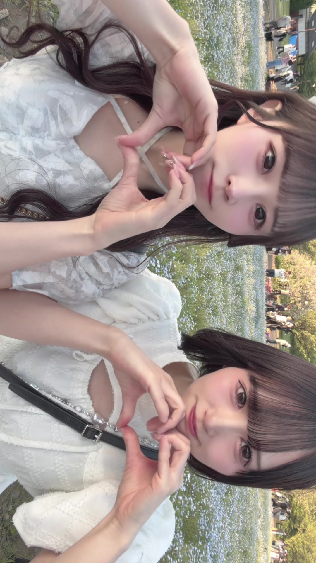 @八雲です
