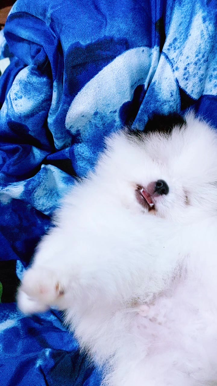 @Девушка из сказки🤗