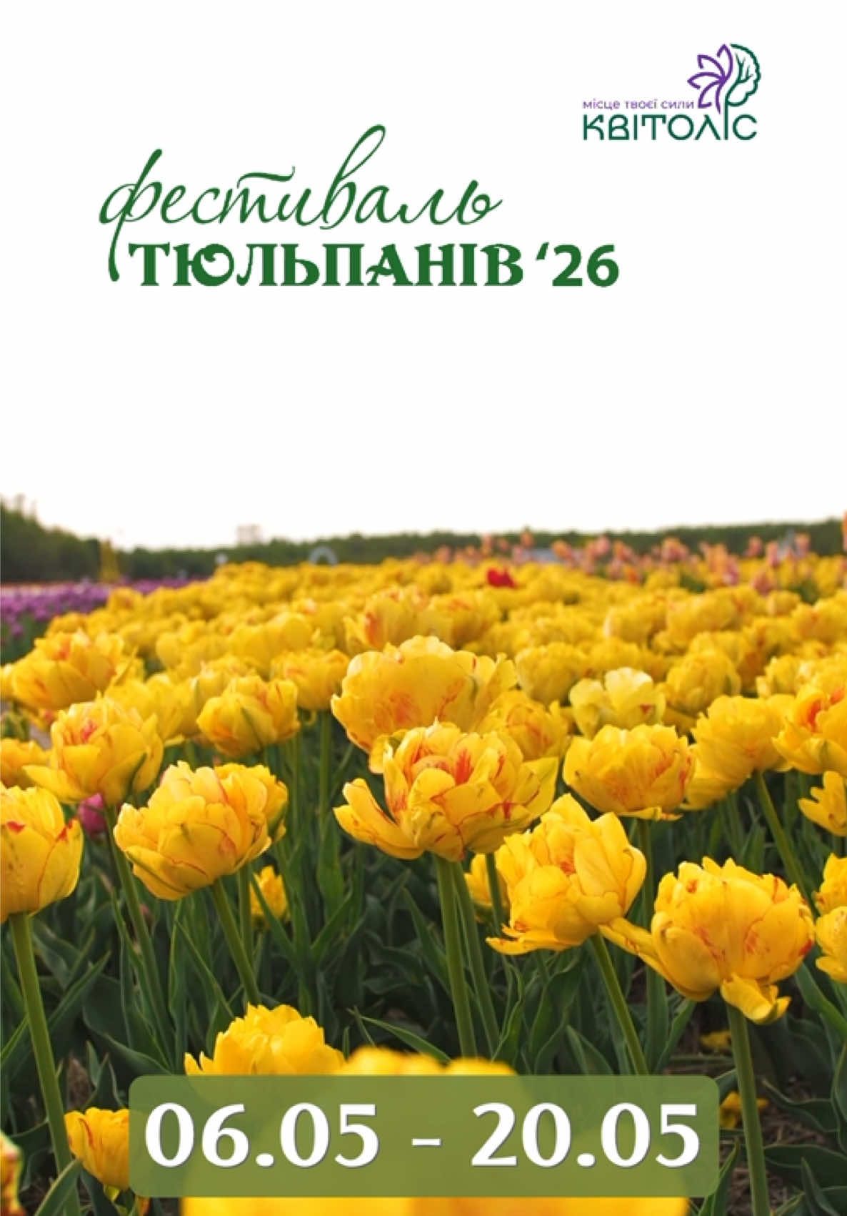 @ТИПОВЕ РІВНЕ 🇺🇦 RIVNE 1283