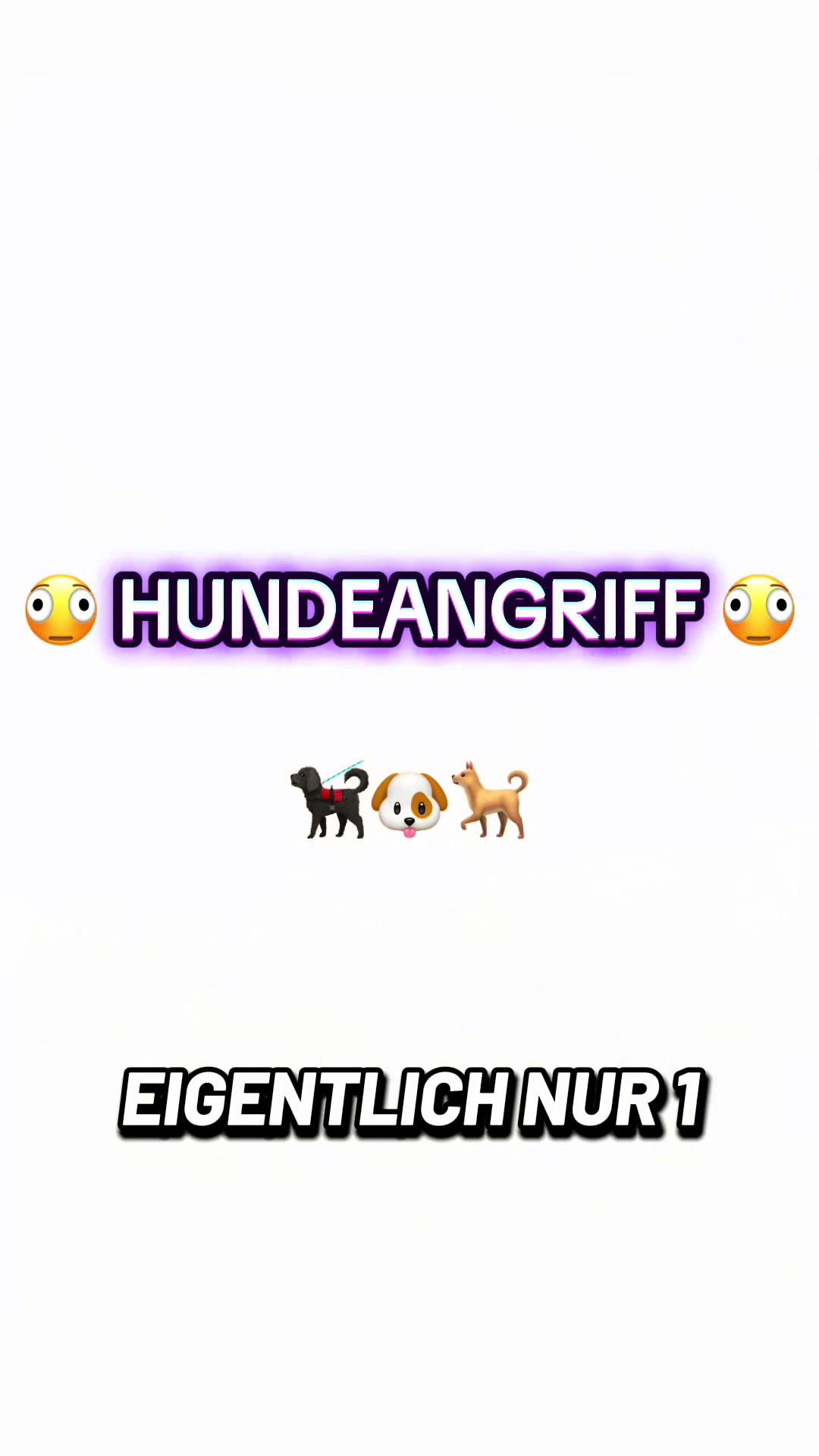 @Karlsruher Maniac