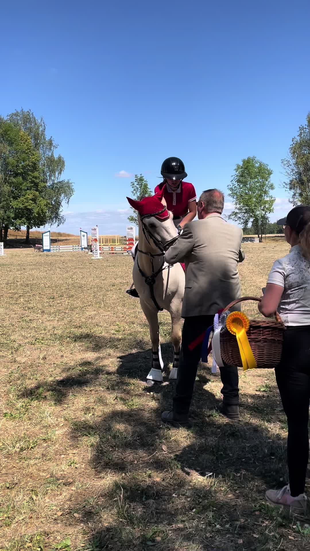 @Fjordpferd Denver