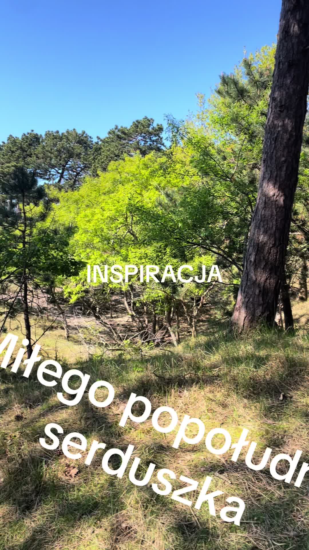 @Violcia💚