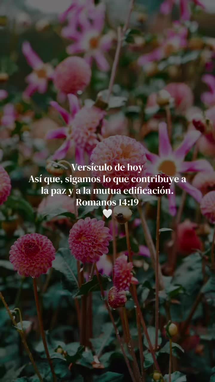 @Aleluya