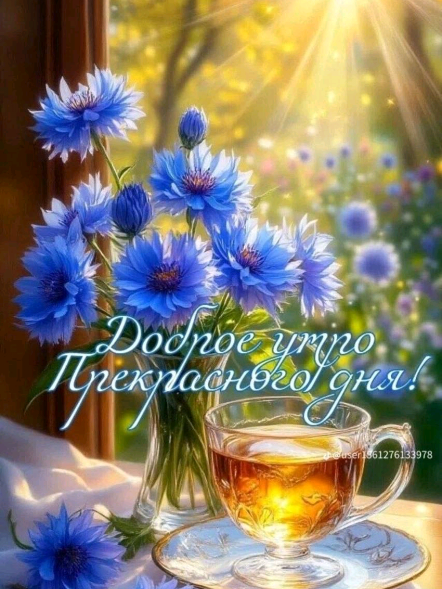 @Ольга