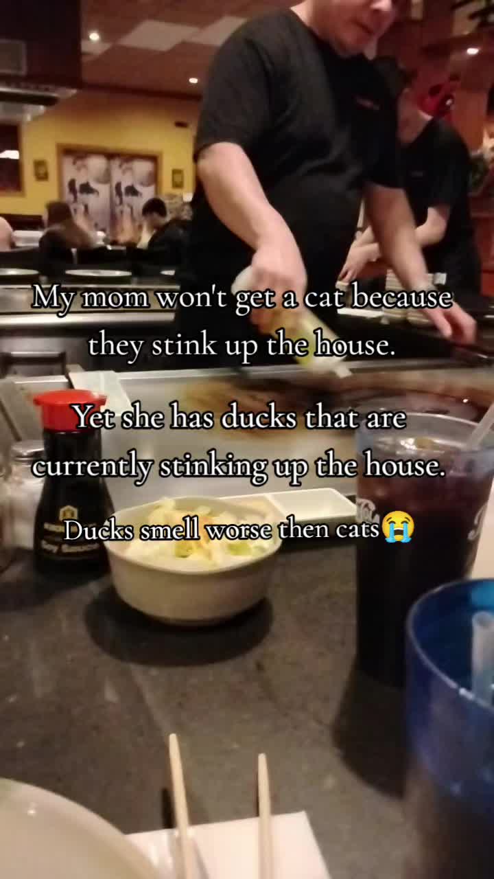@Mackenziermc