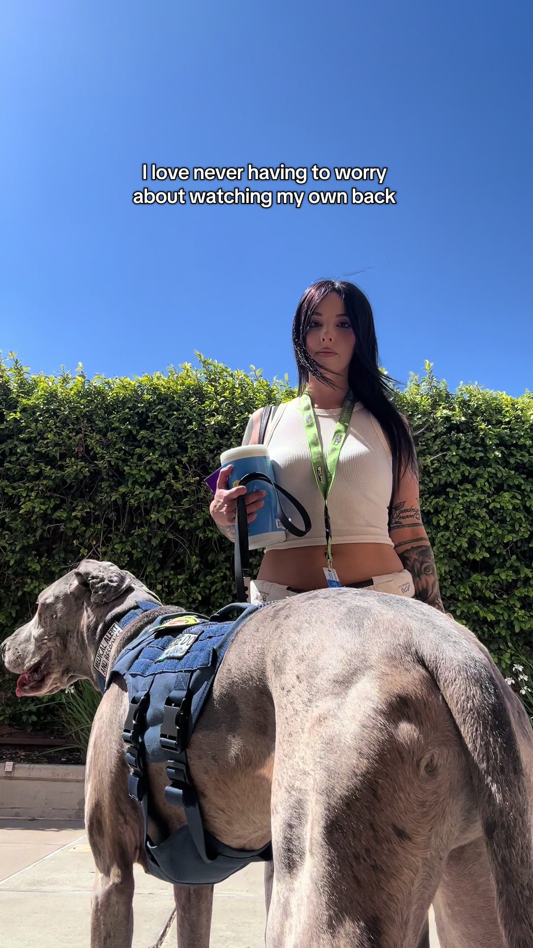 @lex 🐺⛓️