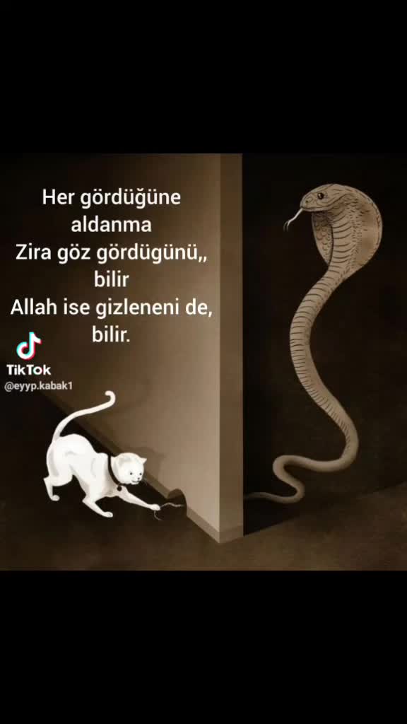 @Ceren_58
