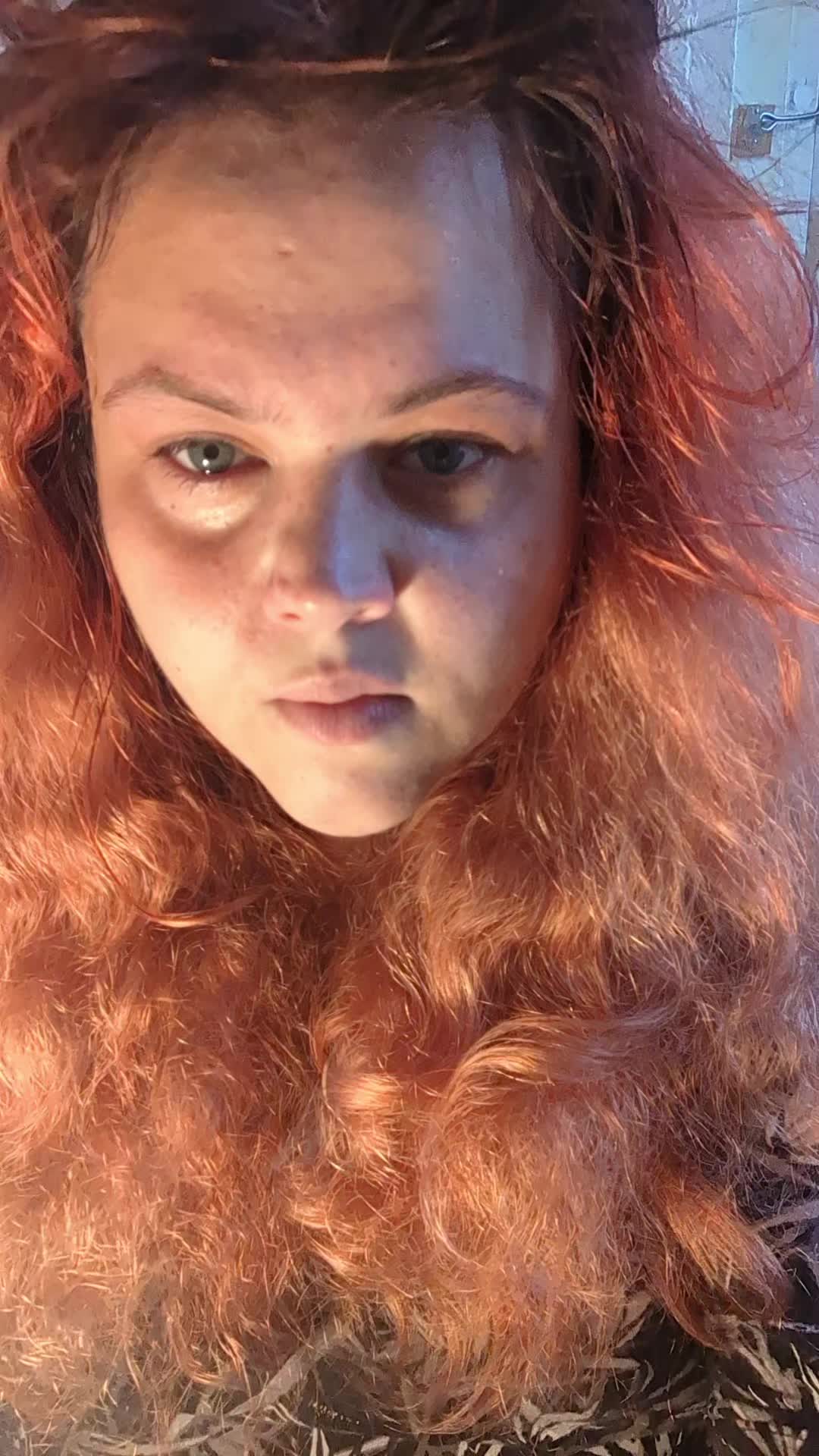 @julewolf31