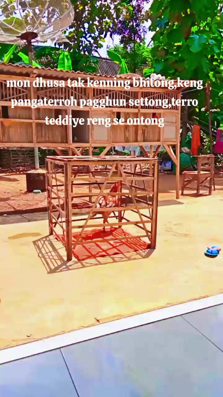 @♂️ Calon Pidana