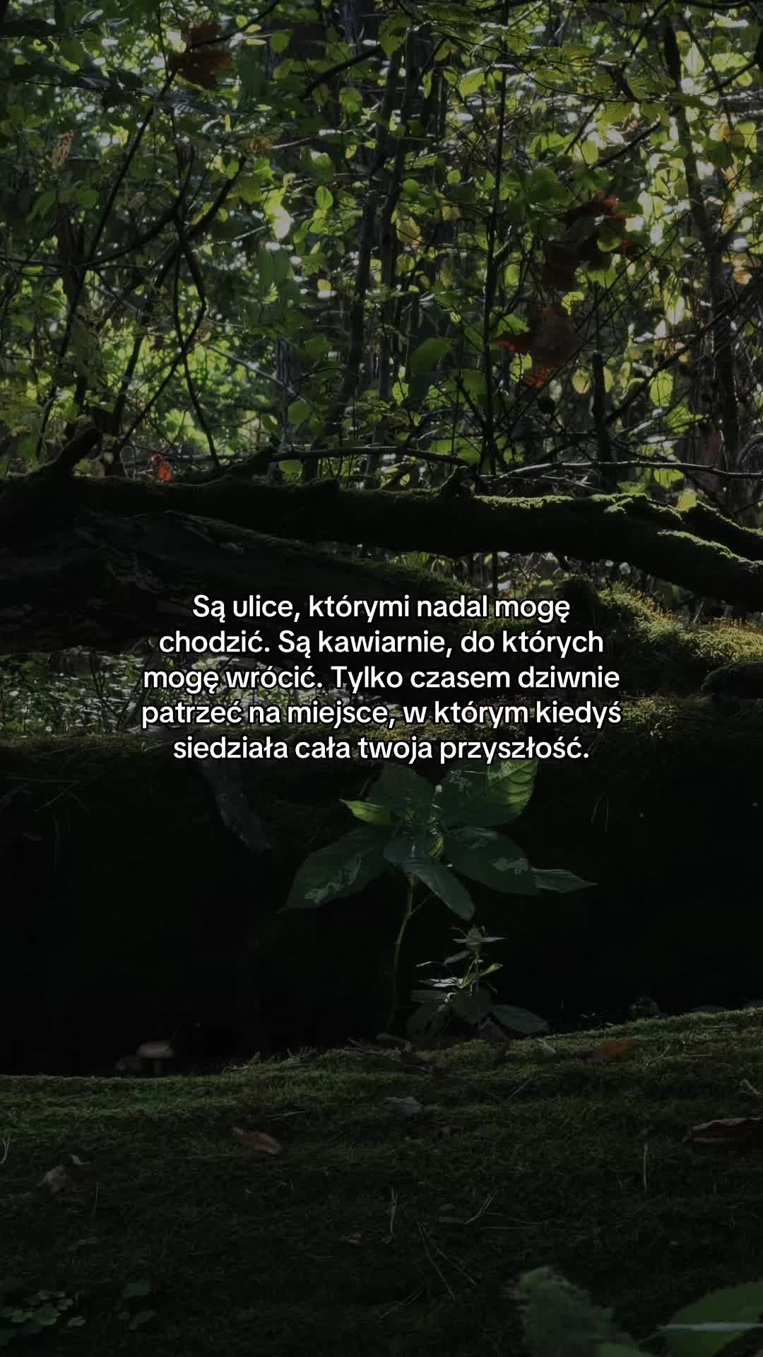 @skrypa_prod
