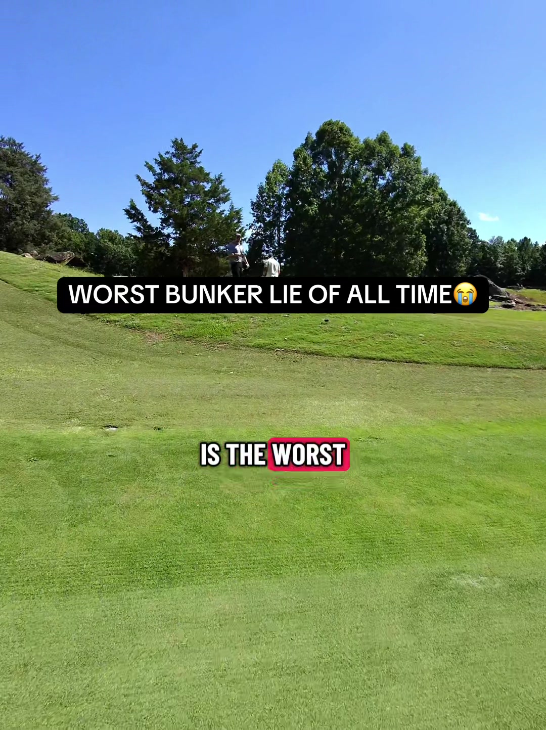 @colecuzzi.golfs