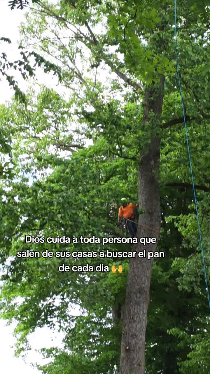 @Fernando