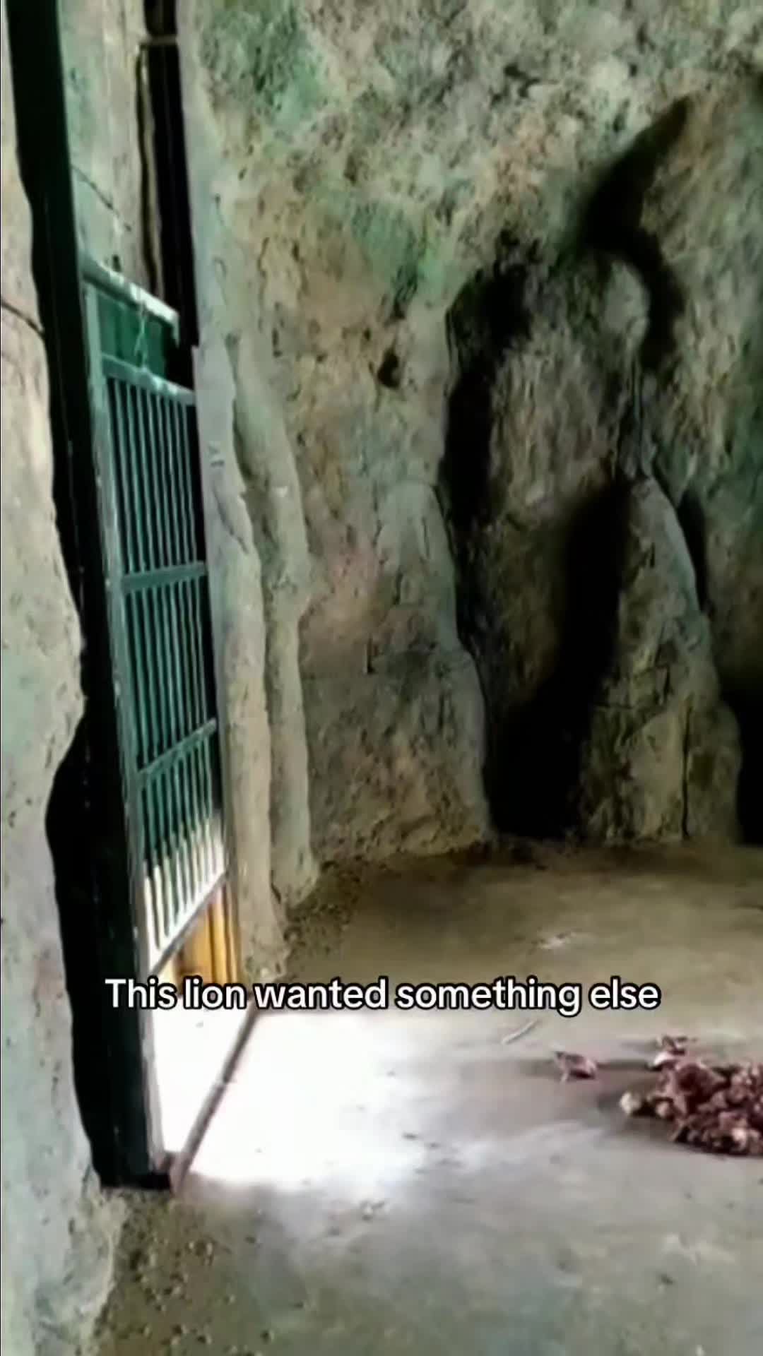 @WildwonderzZzz