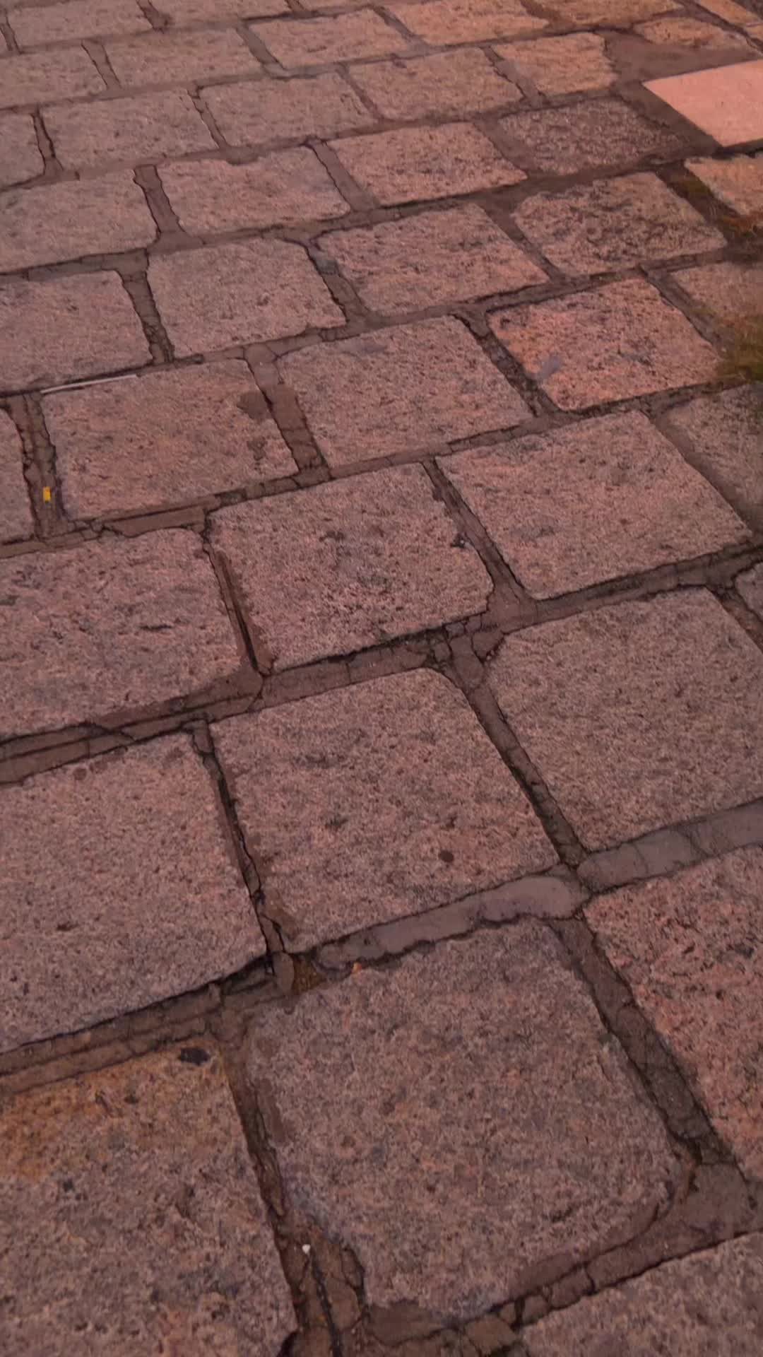 @๏ฟถ