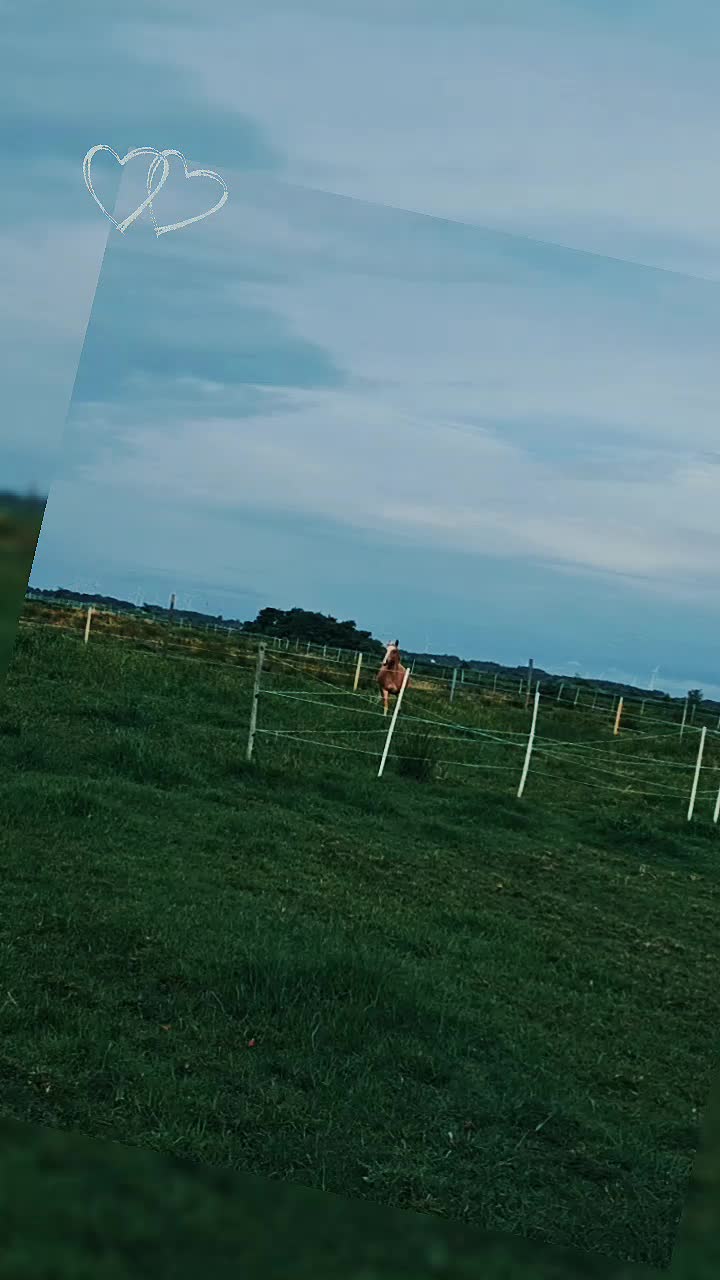 @🔥🔥Dani🔥🔥