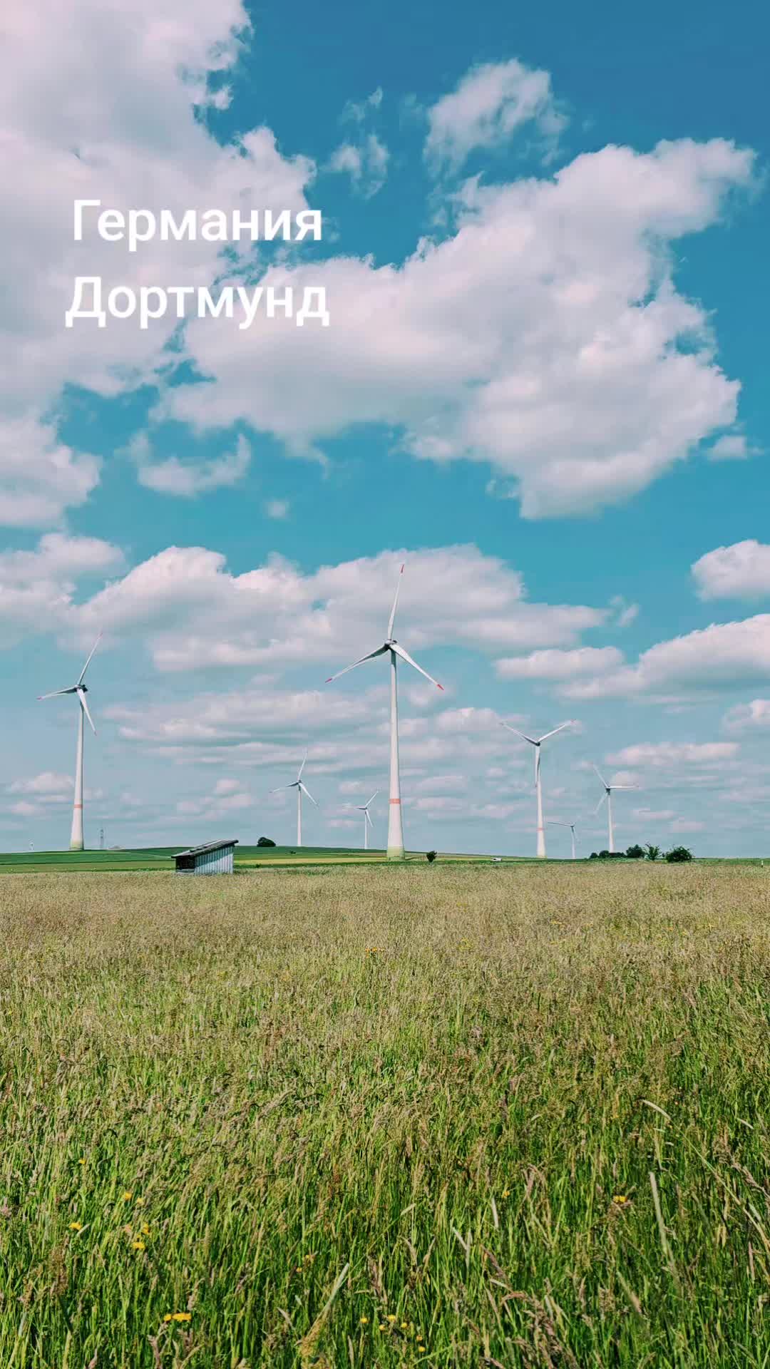 @Musofir 🌏