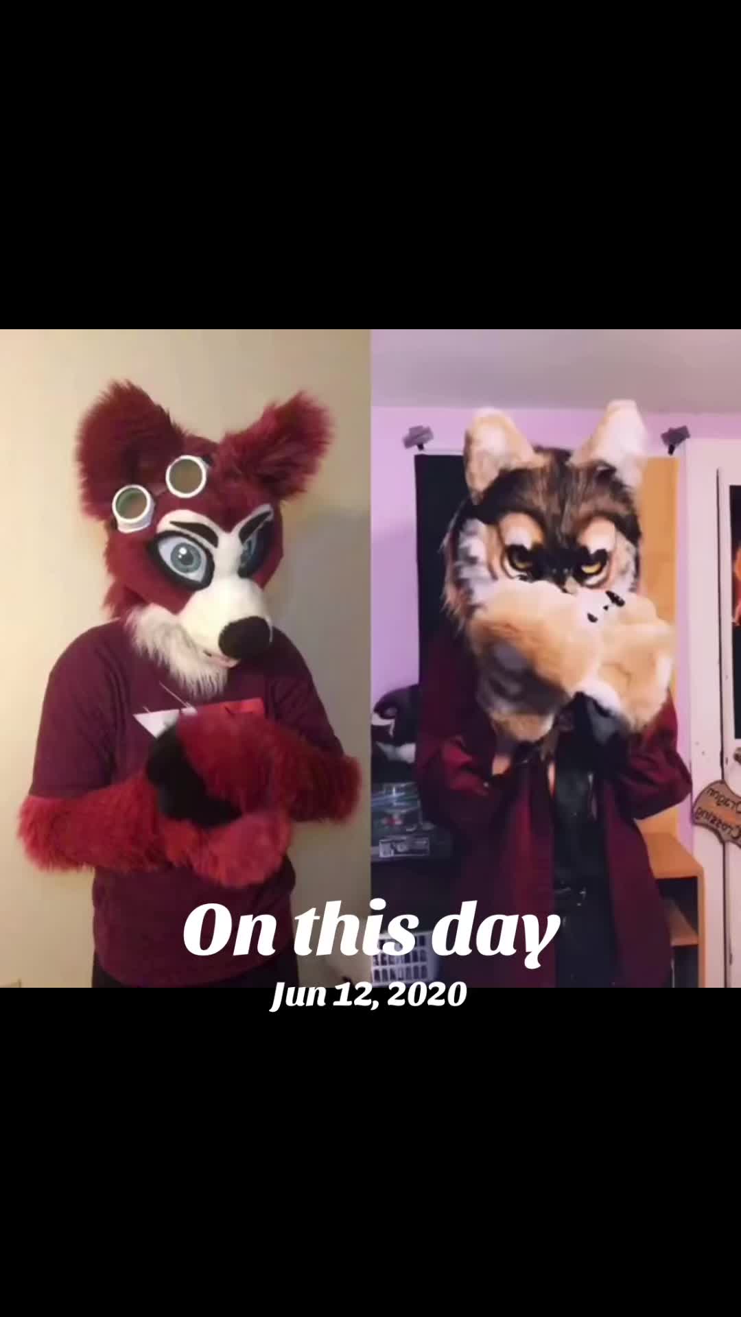 @🦊 Pete The Fox 🦊