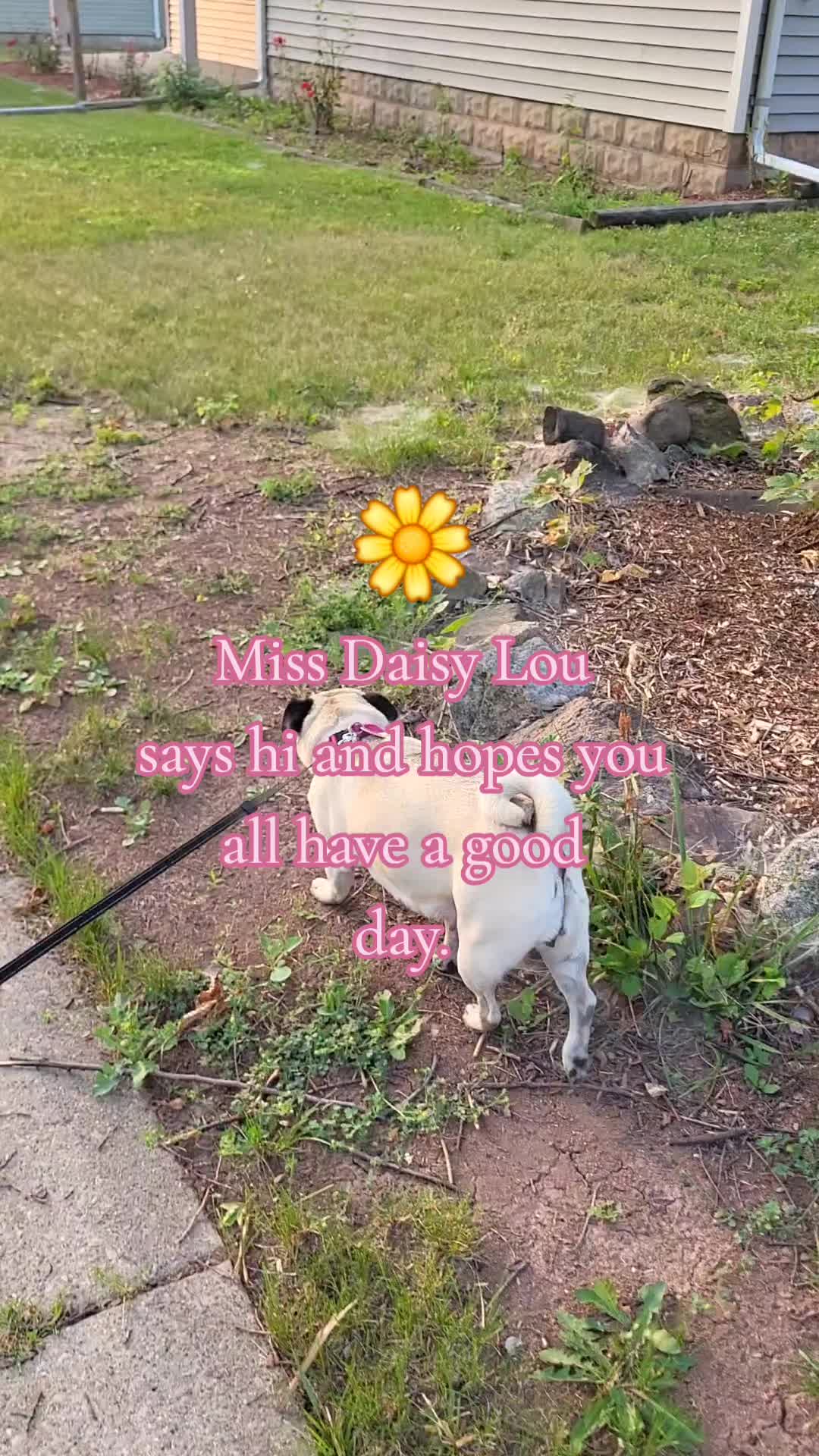 @💚kellymarie💚117💚