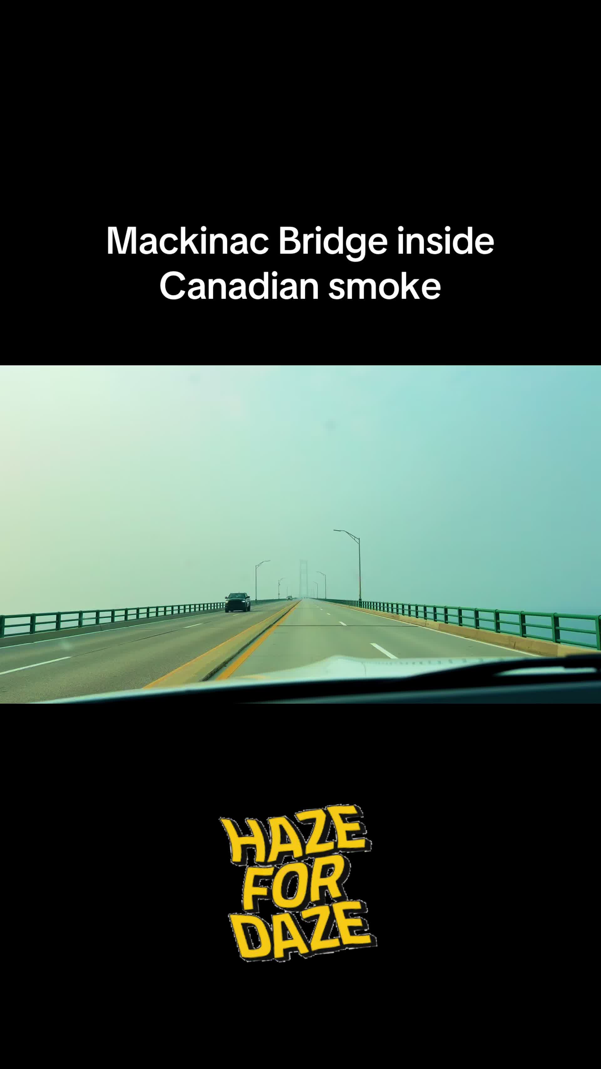 @🐇