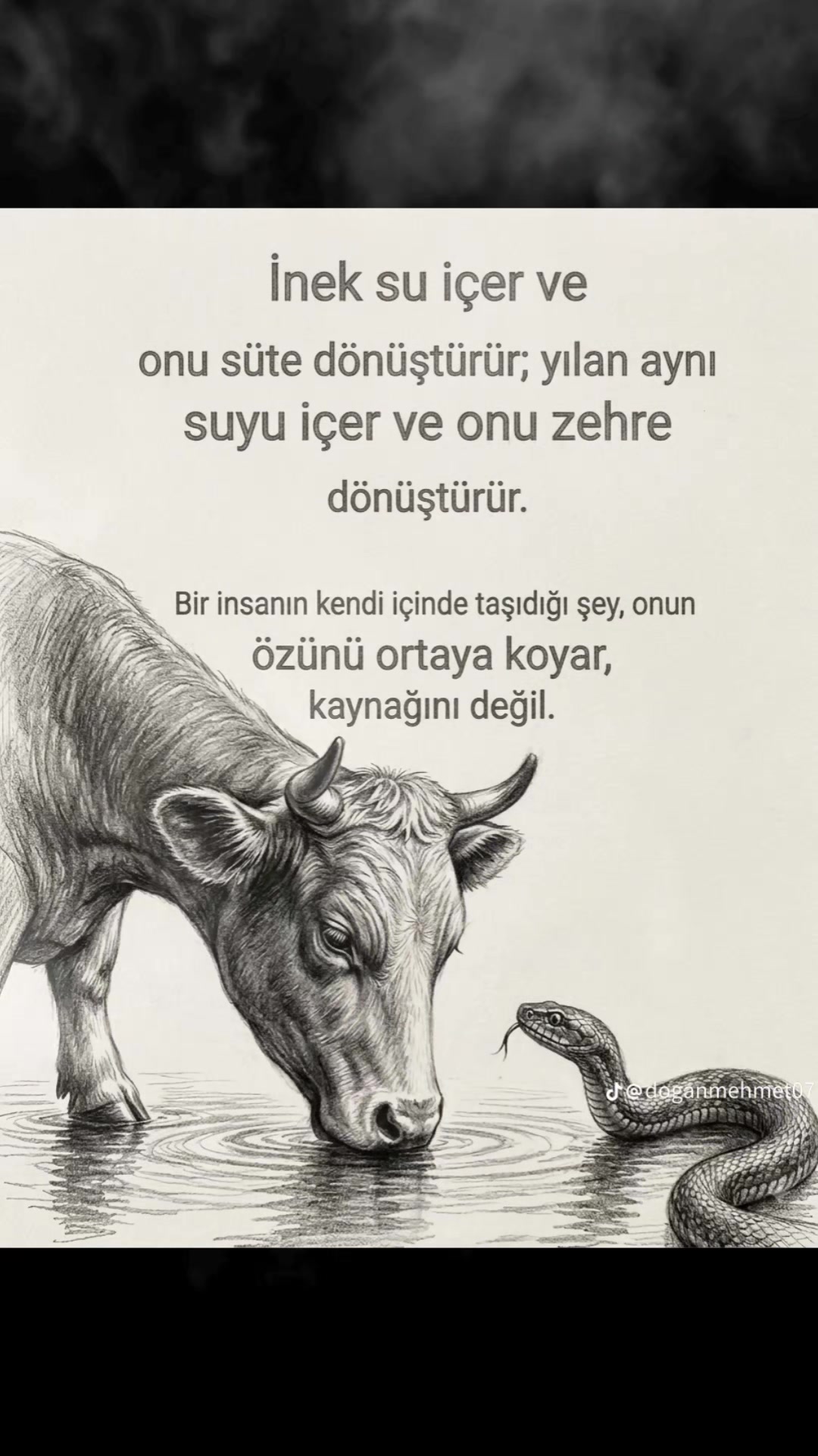 @Hayat⚘