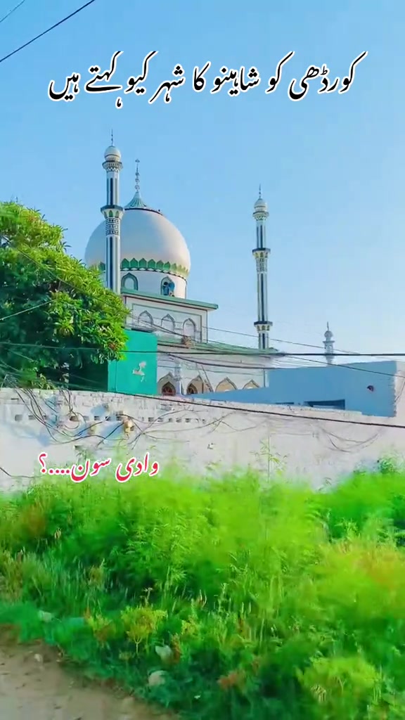 @محترمہ 🍁