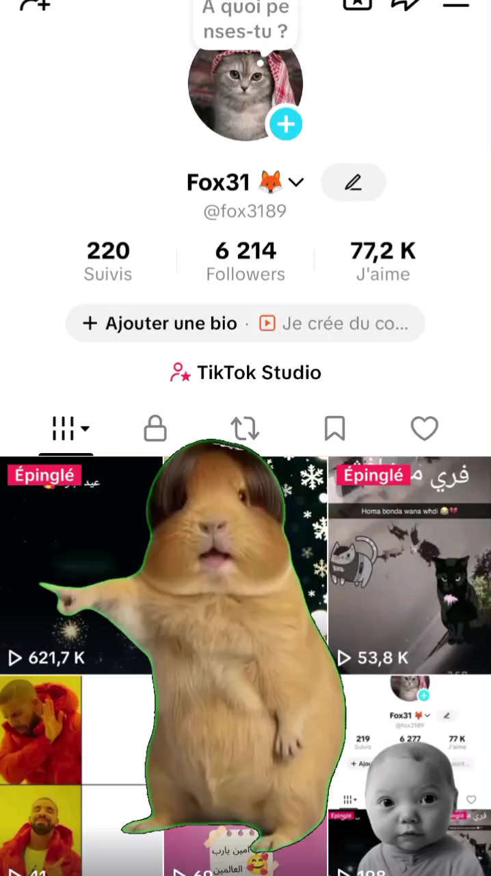 @Fox31 🦊