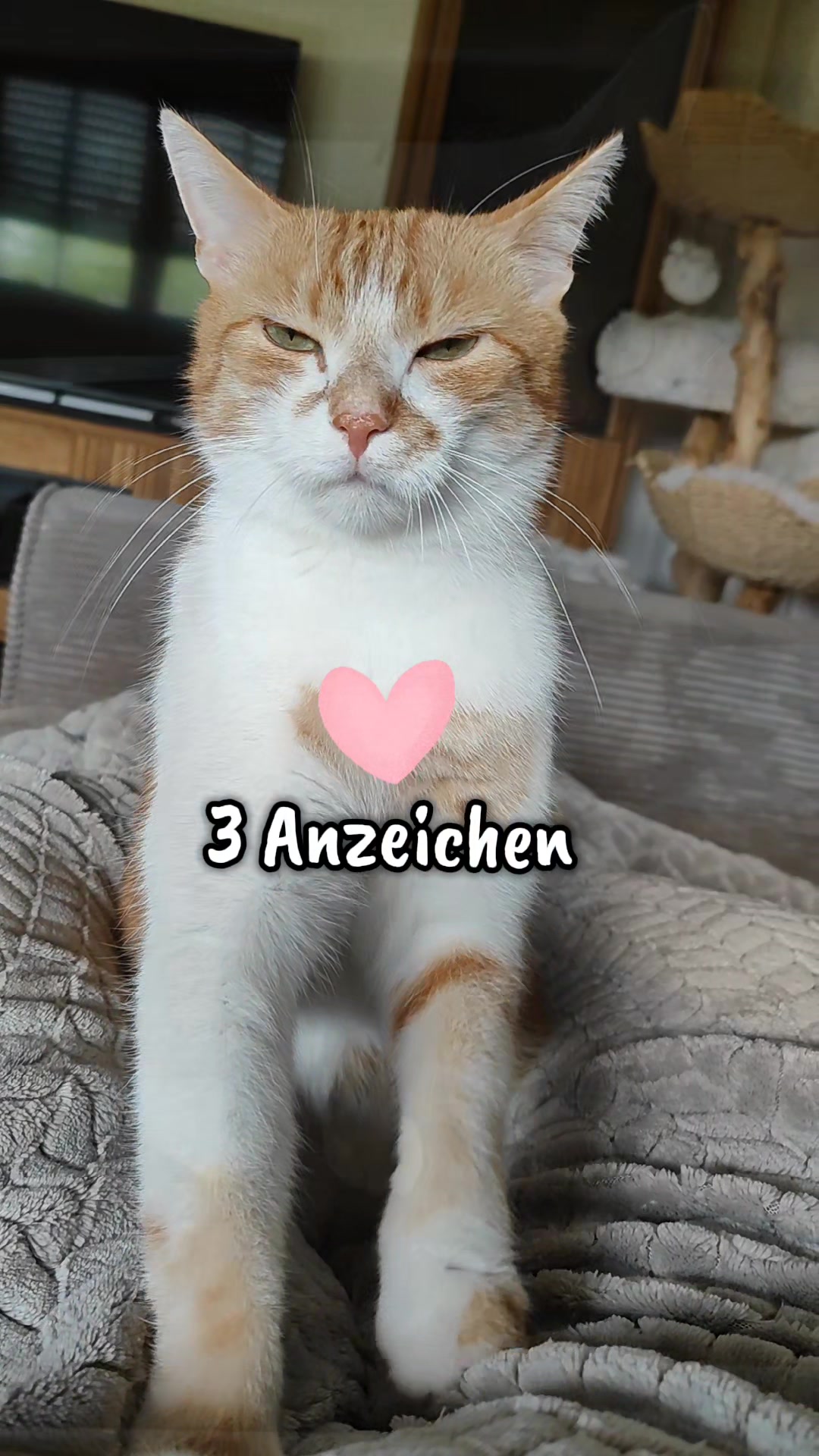 @😻нⷩeͤjdͩiͥneͤ😻