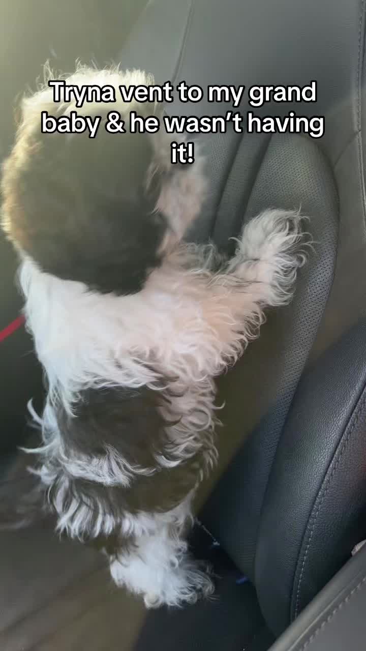 @incognitosorryyall