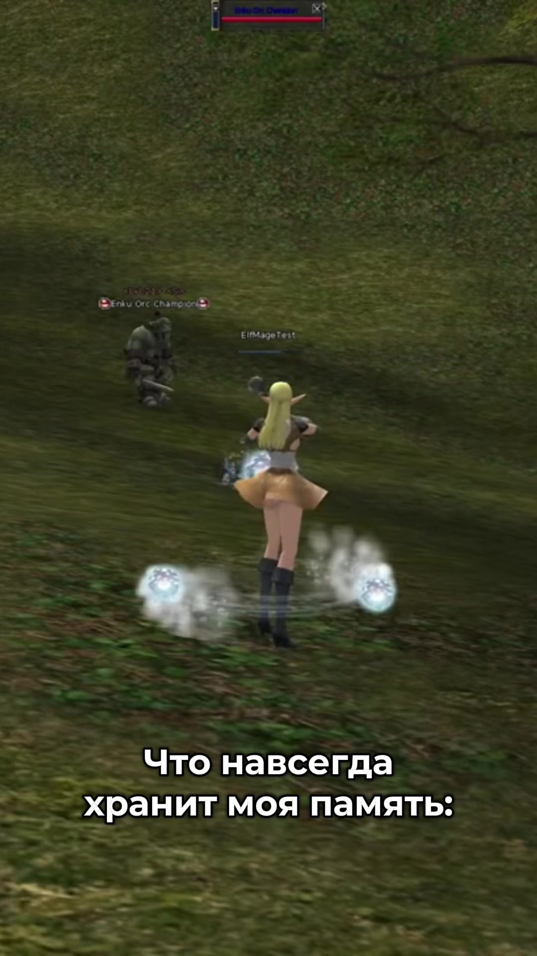 @L2Essence.Online server
