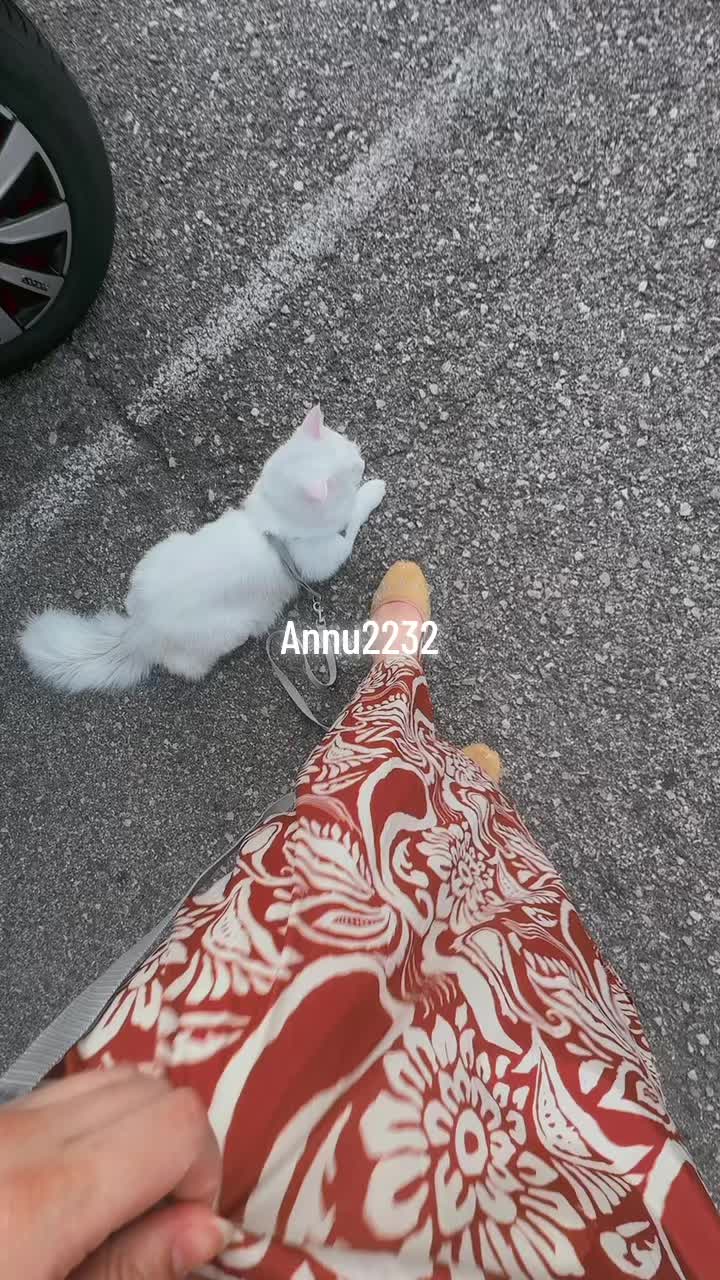 @annu_2232