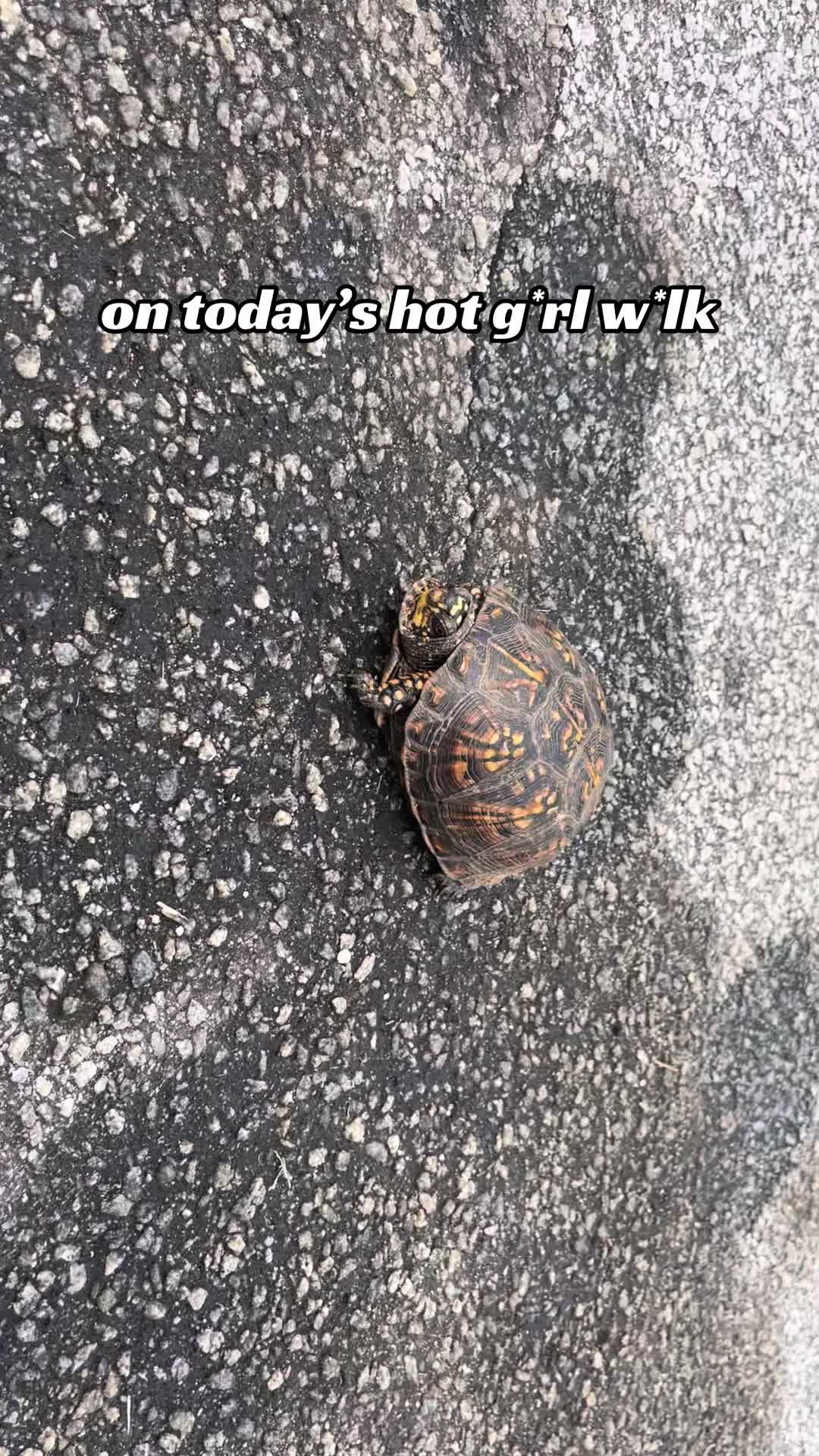 @db.