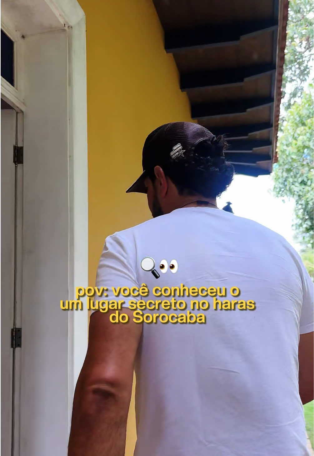 @Fernando e Sorocaba