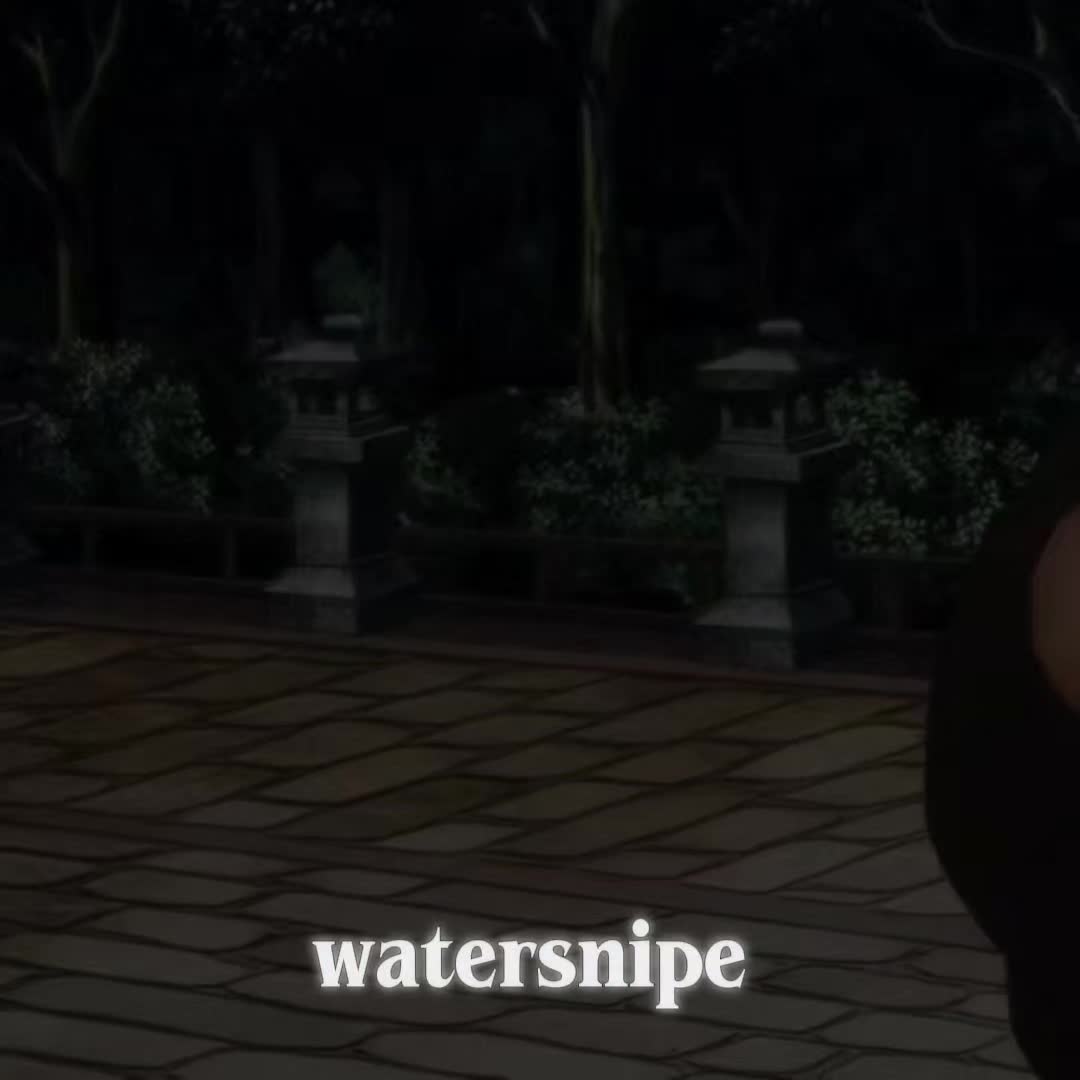 @watersnipe