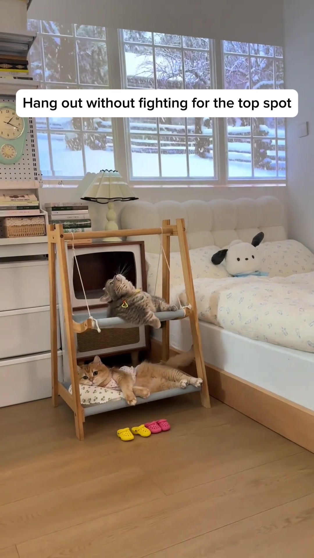 @Purrfect Oasis
