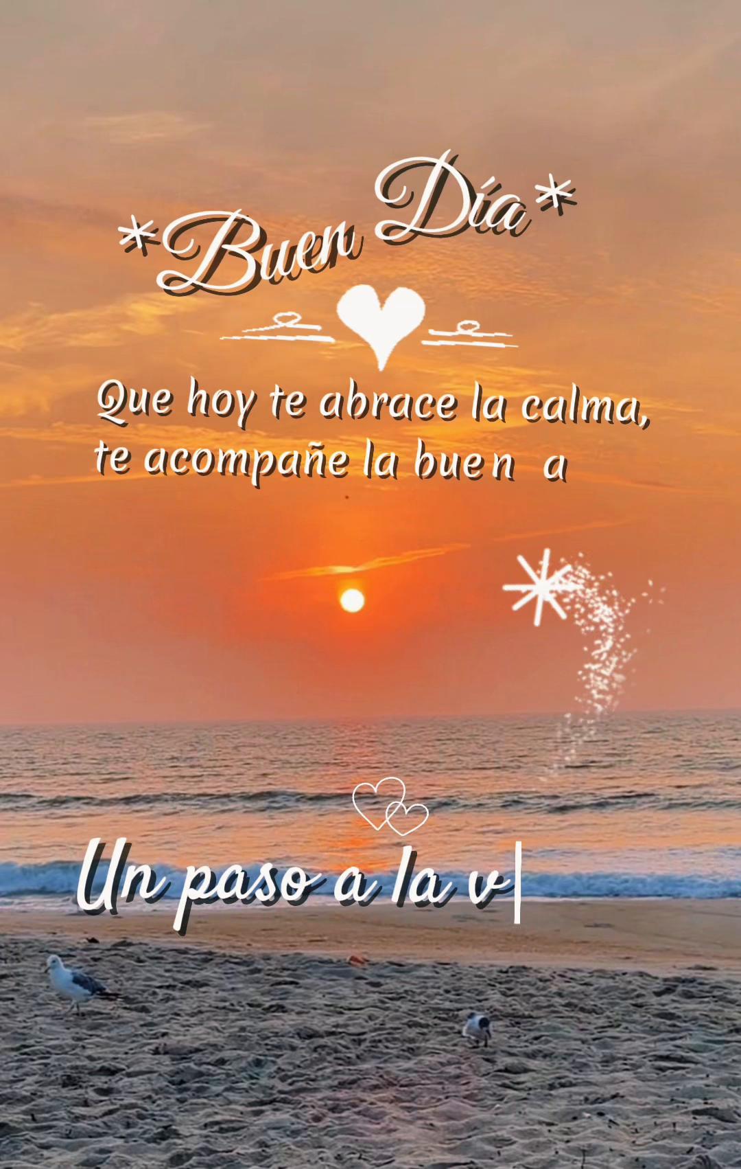 @Zoila✨🦋