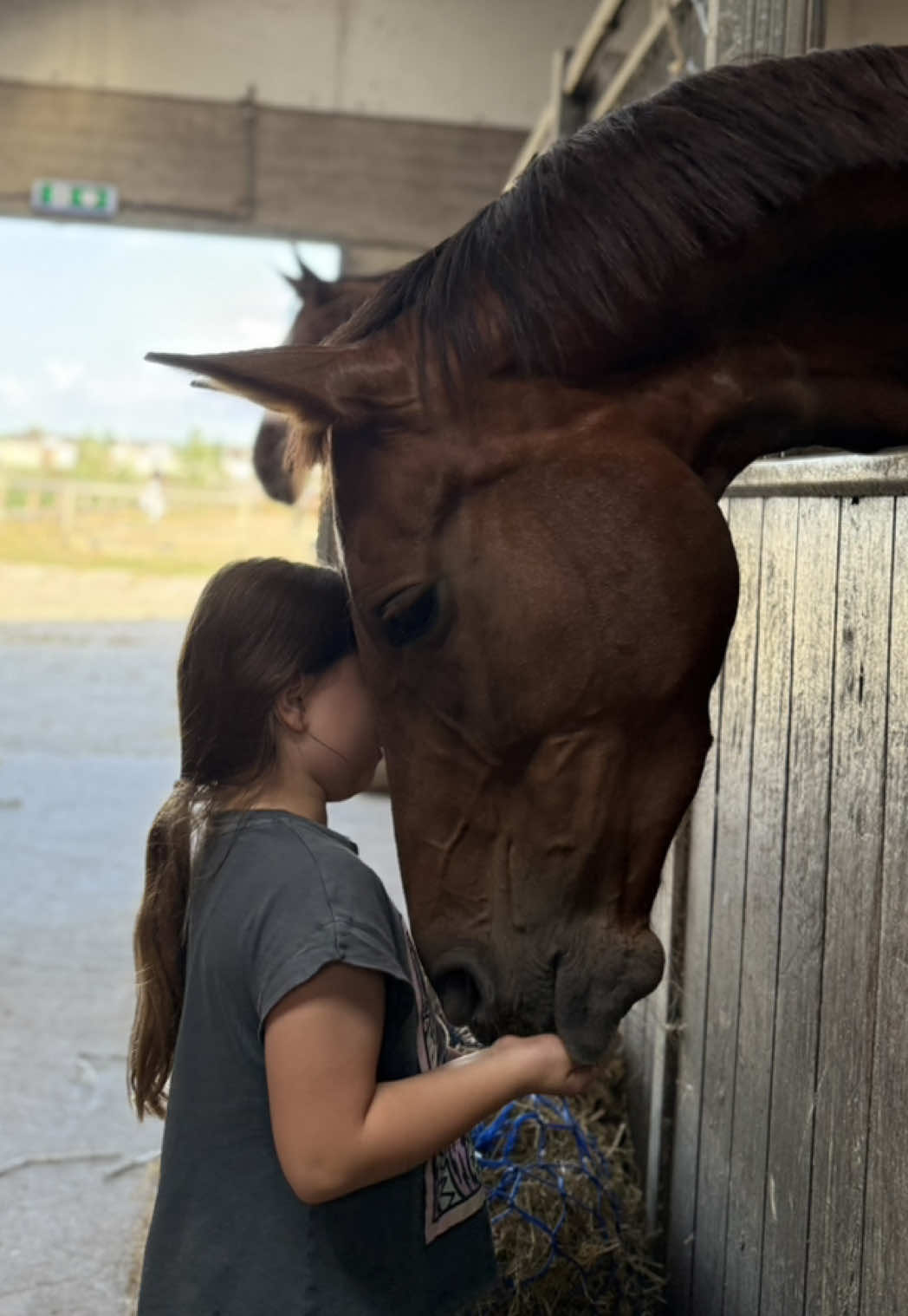 @Young Rider Journey🐴