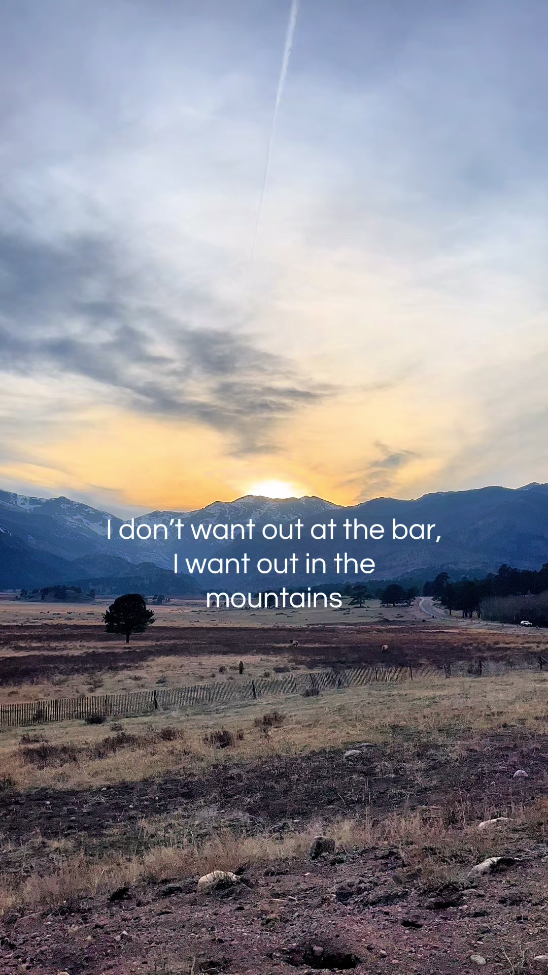 @Something in the Wild
