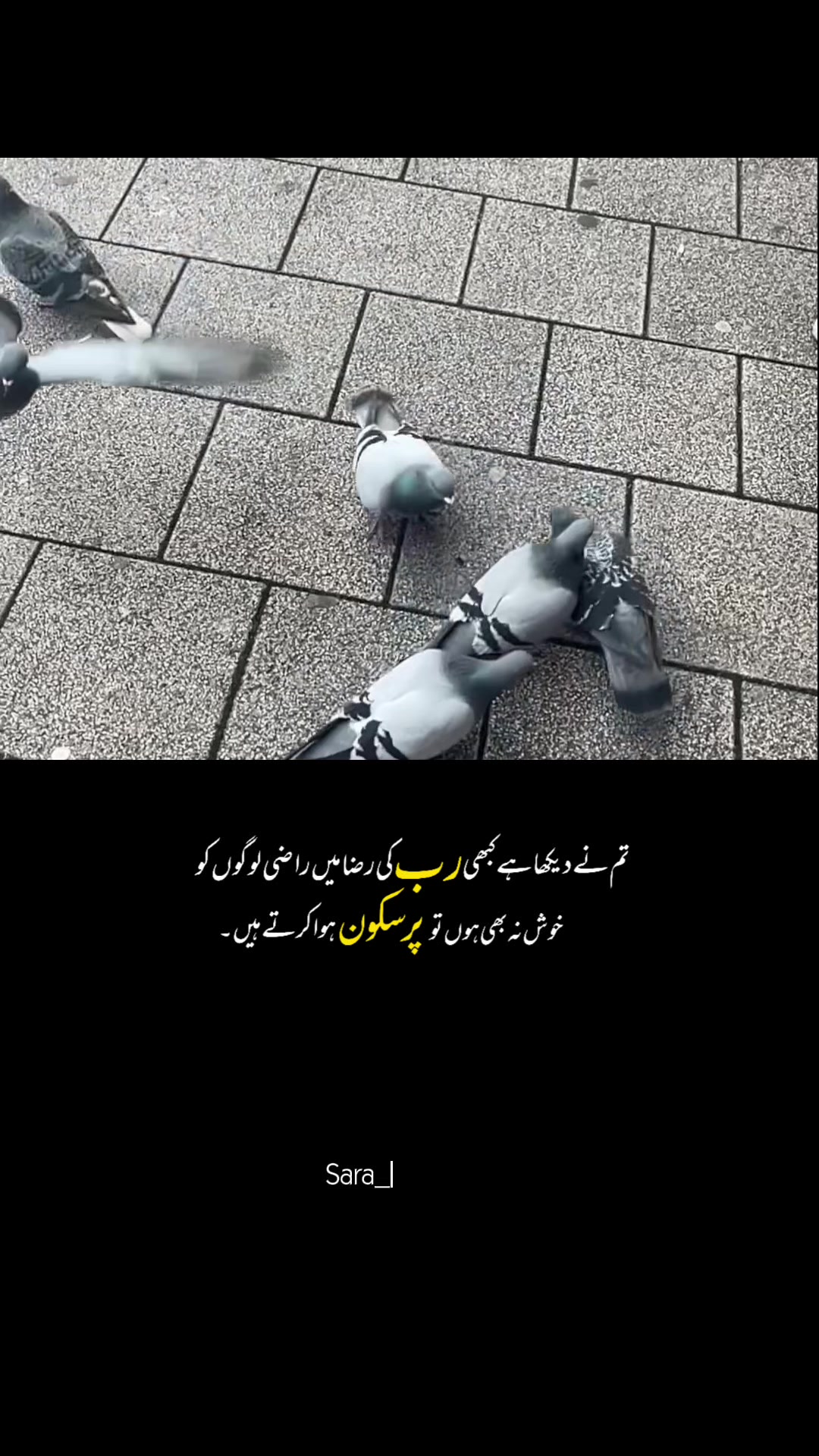 @انت الحیات