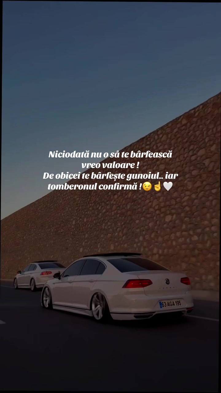 @α∂утzυ