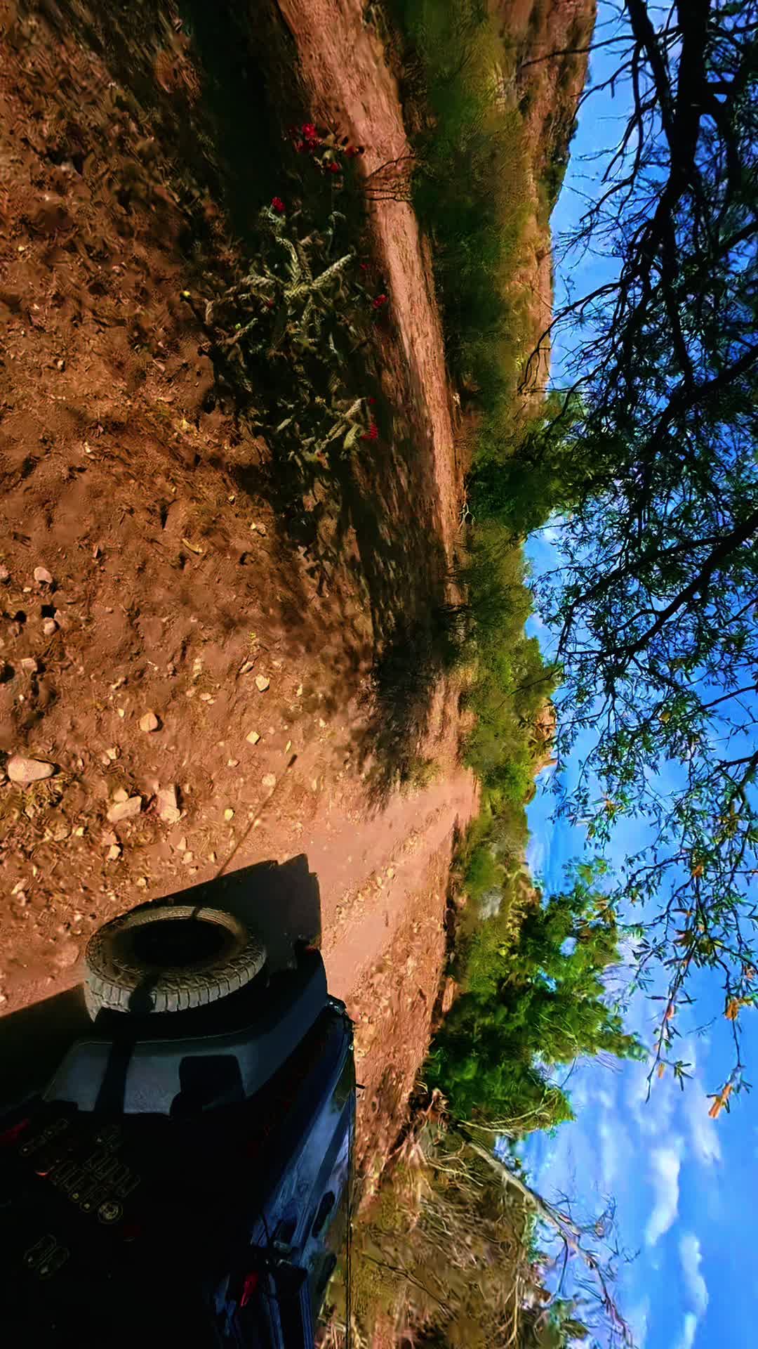 @Voodoo Offroad