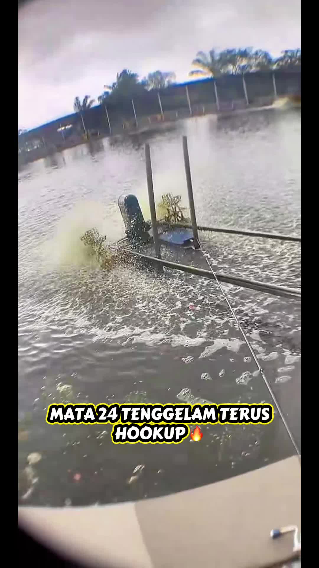 @M Z Reel 🎣