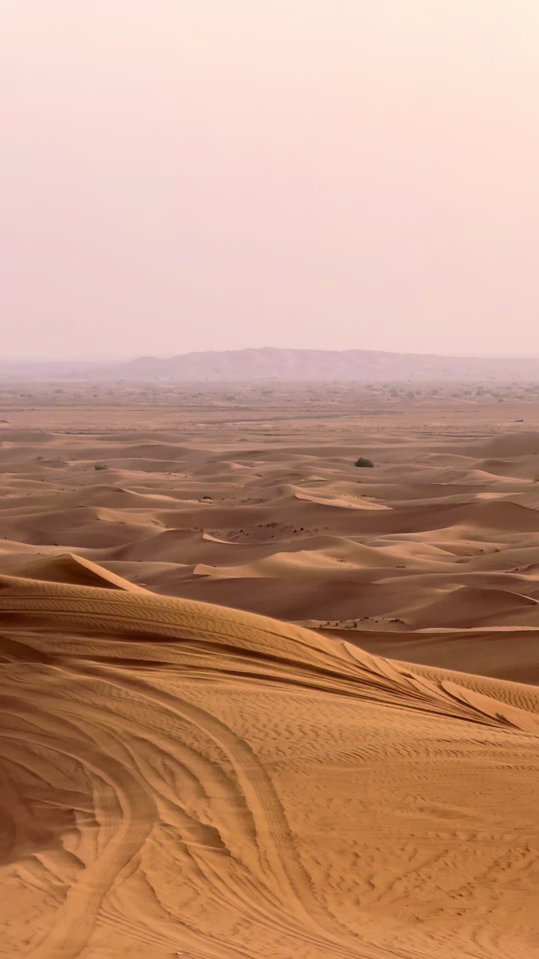 @Golden sand desert safari