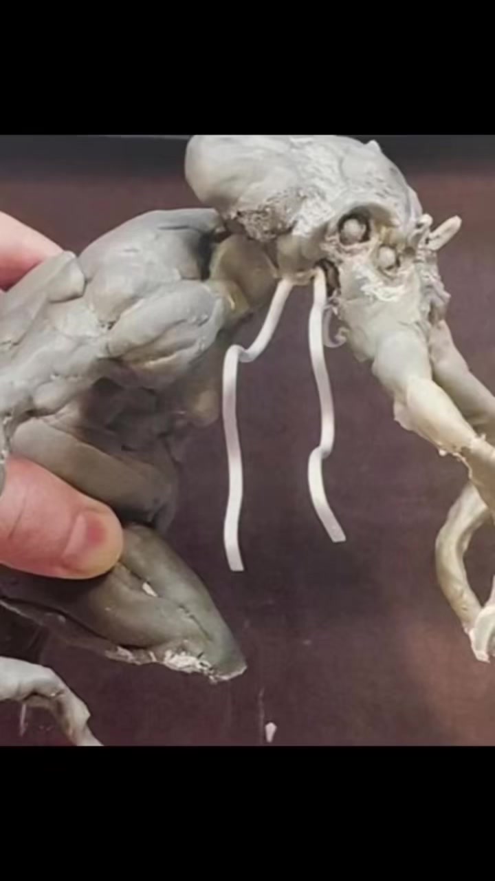 @shiflettbros