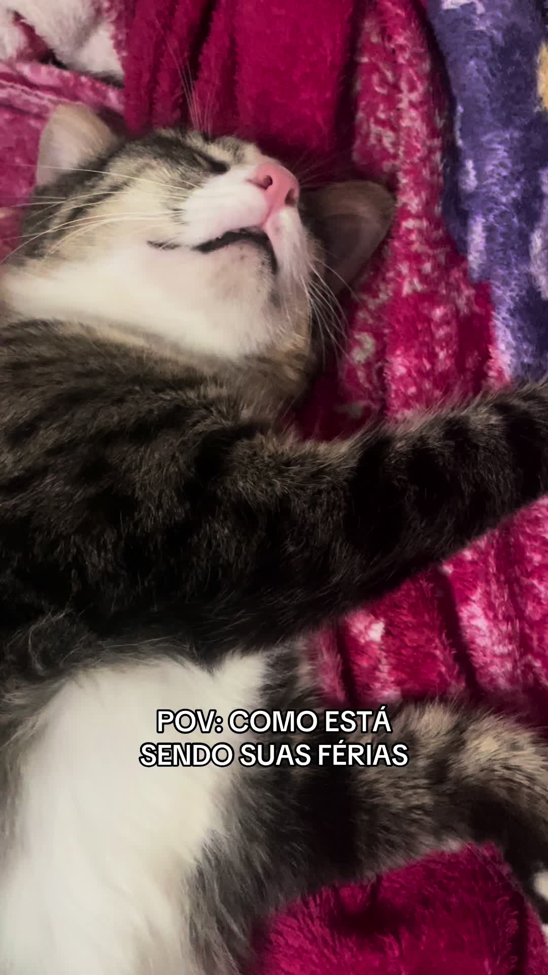 @eucachinho0s
